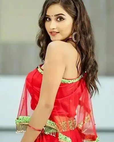 Call Girls Service Udhna